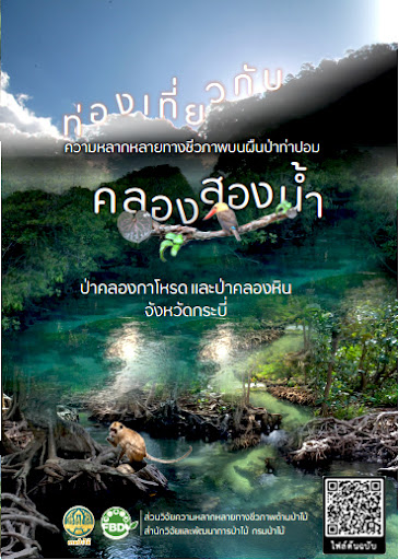 ท่องเที่ยวกับความหลากหลายทางชีวภาพ บนผืนป่าท่าปอมคลองสองน้ำ ป่าคลองกาโหลด และป่าคลองหิน จังหวัดกระบี่ 