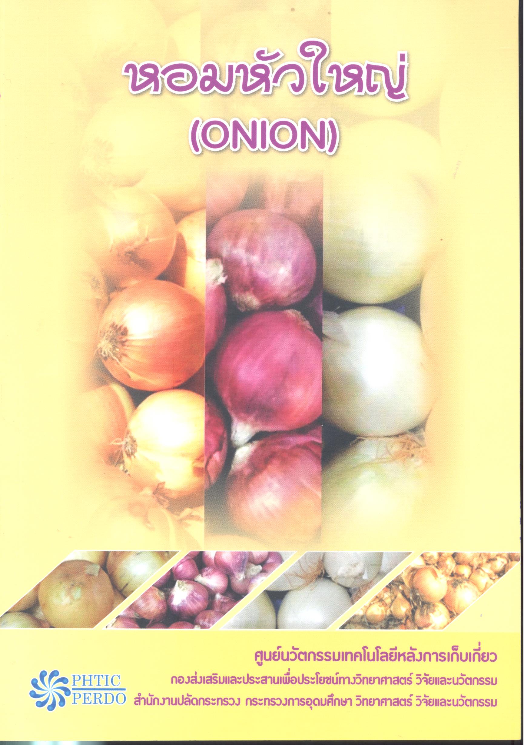 หอมหัวใหญ่ (Onion)