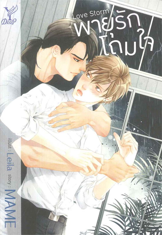 พายุรักโถมใจ