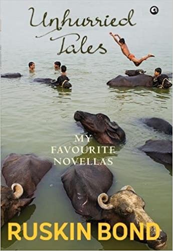 Unhurried tales : my favourite novellas